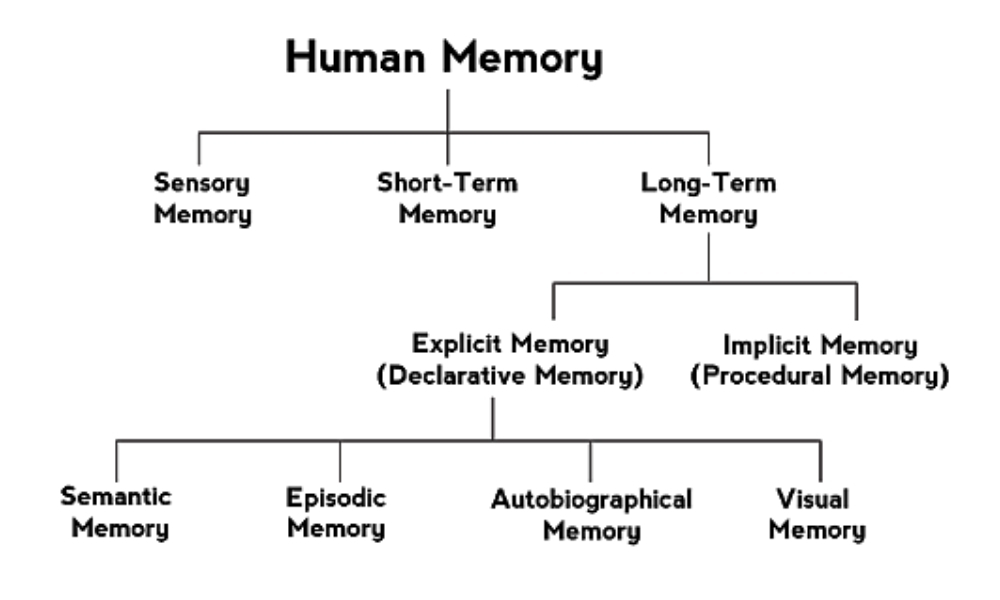 Human types. Types of Memory. Types of Human Memory. Main Types of Human Memory. Two Types of Computer Memory.
